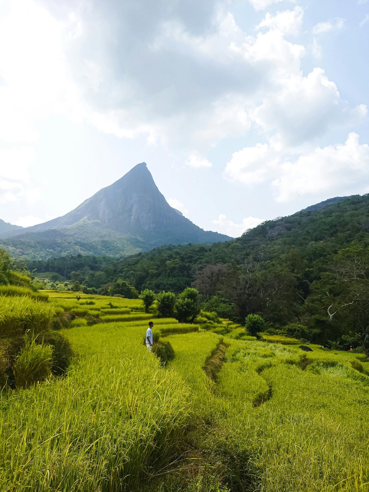 Sigiriya Sri Lanka